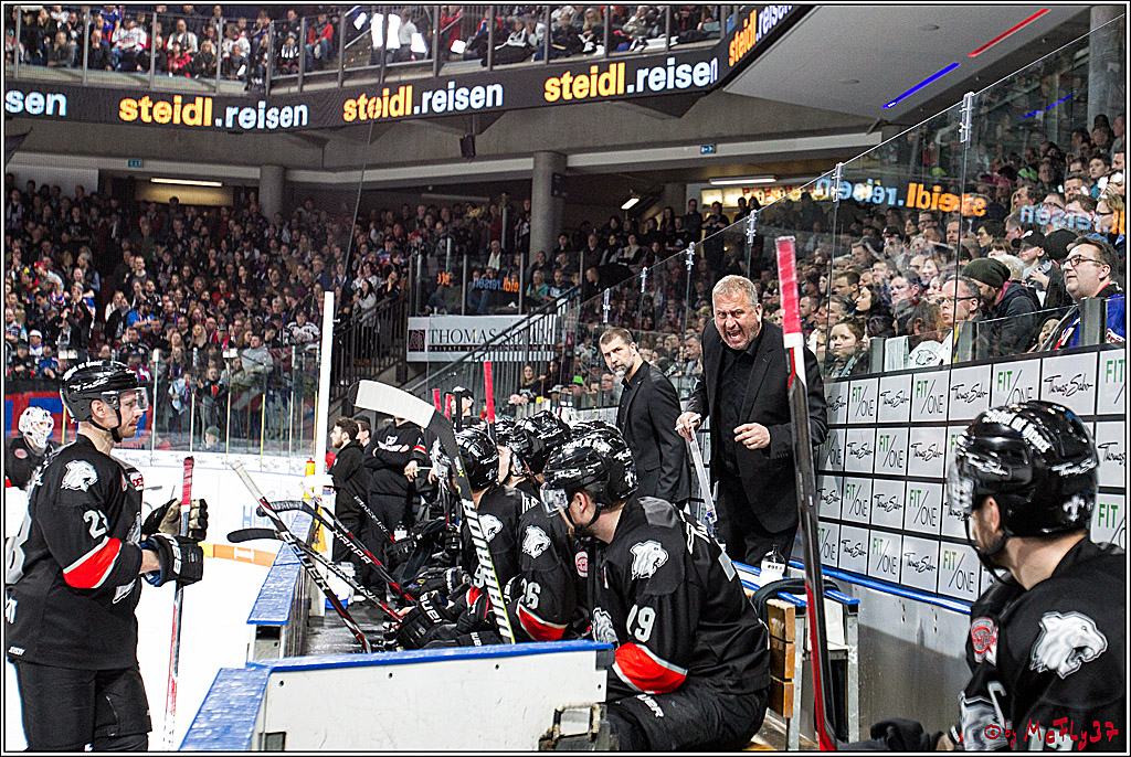 DEL-Playoff, Nuernberg Ice Tigers - Koelner Haie, 23.03.2018