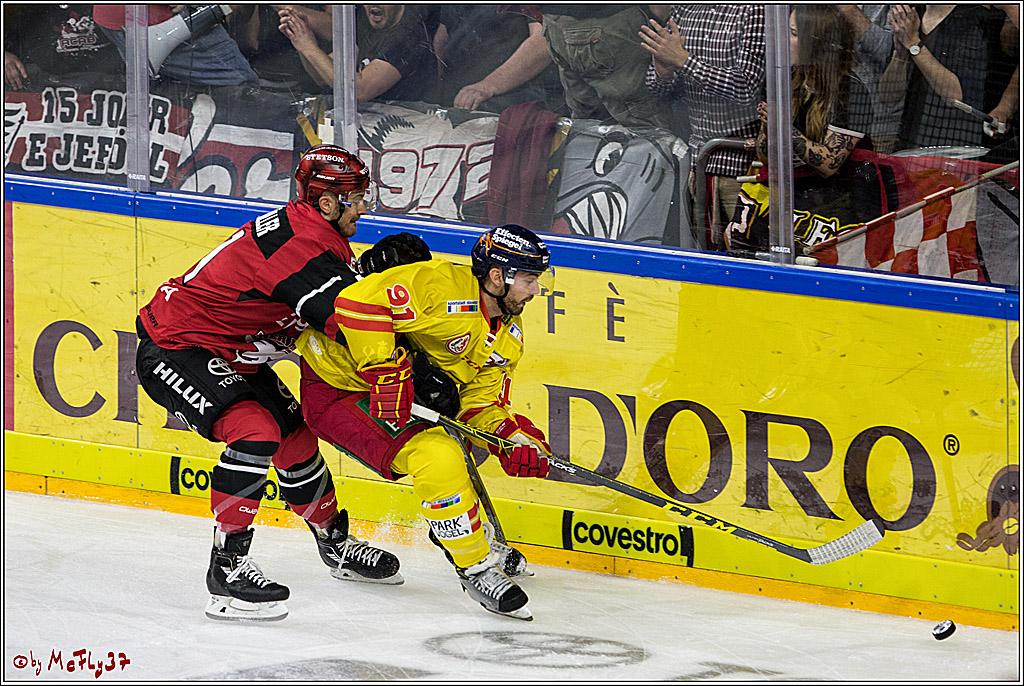 DEL, Koelner Haie - Duesseldorfer eG, 13.10.2017