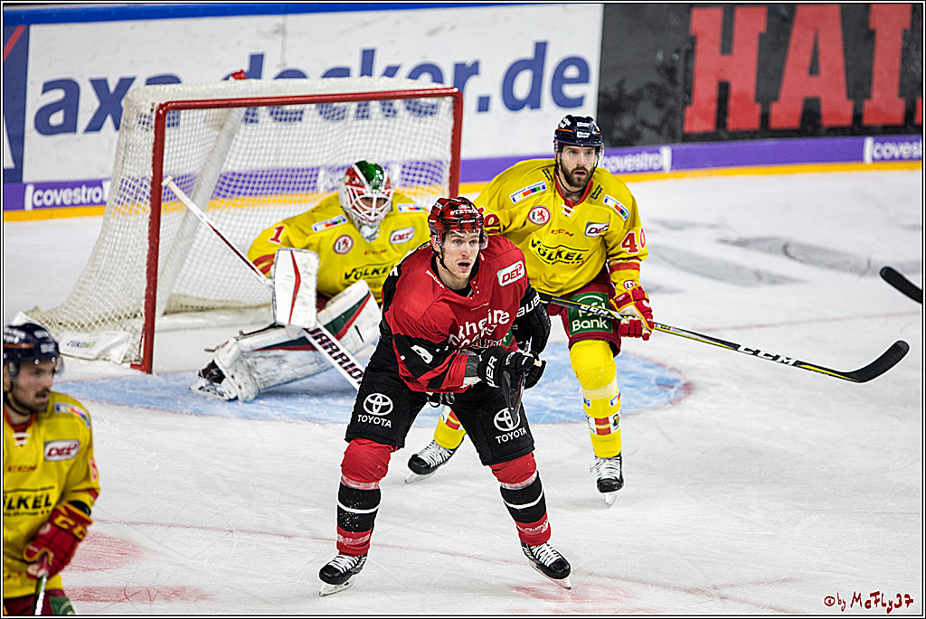DEL, Koelner Haie - Duesseldorfer eG, 13.10.2017