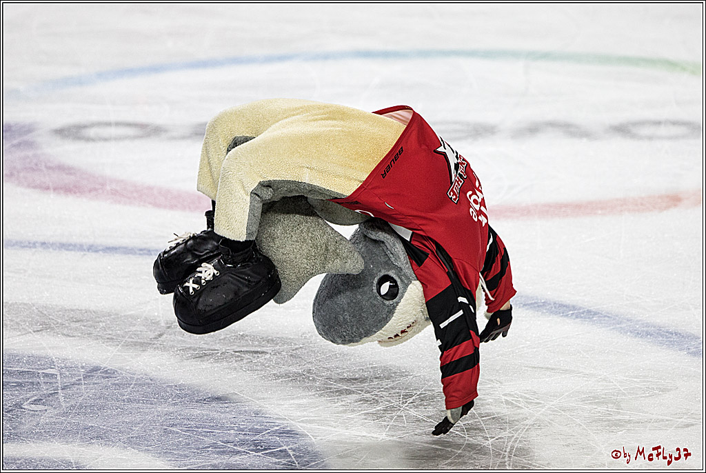 DEL, Koelner Haie - Duesseldorfer eG, 13.10.2017
