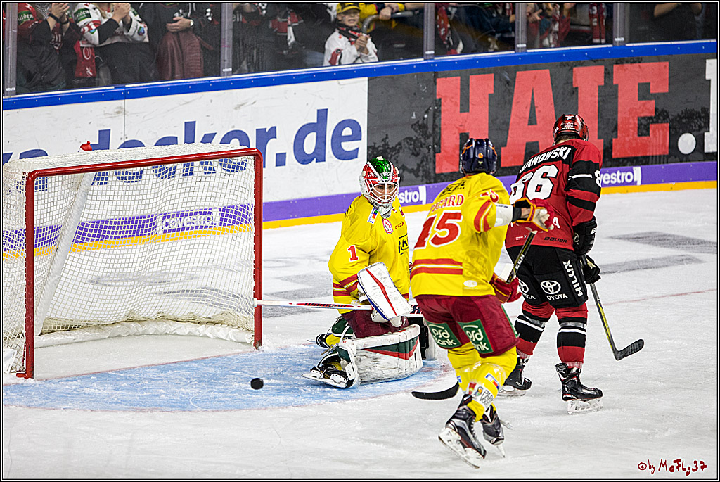 DEL, Koelner Haie - Duesseldorfer eG, 13.10.2017