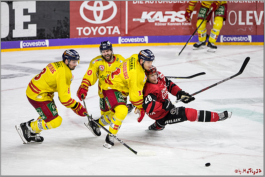 DEL, Koelner Haie - Duesseldorfer eG, 13.10.2017