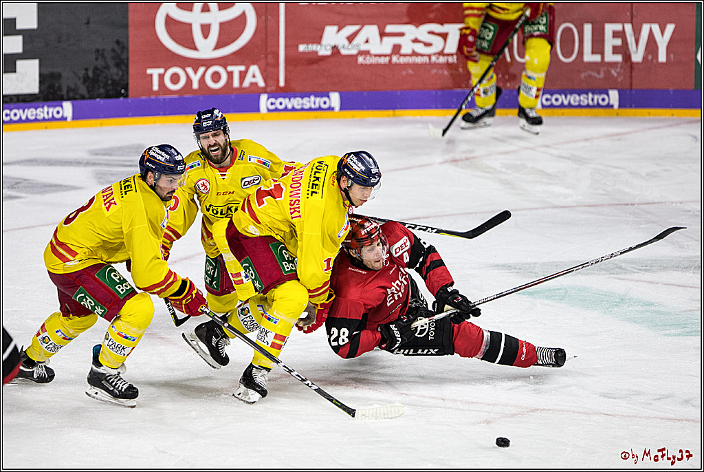 DEL, Koelner Haie - Duesseldorfer eG, 13.10.2017