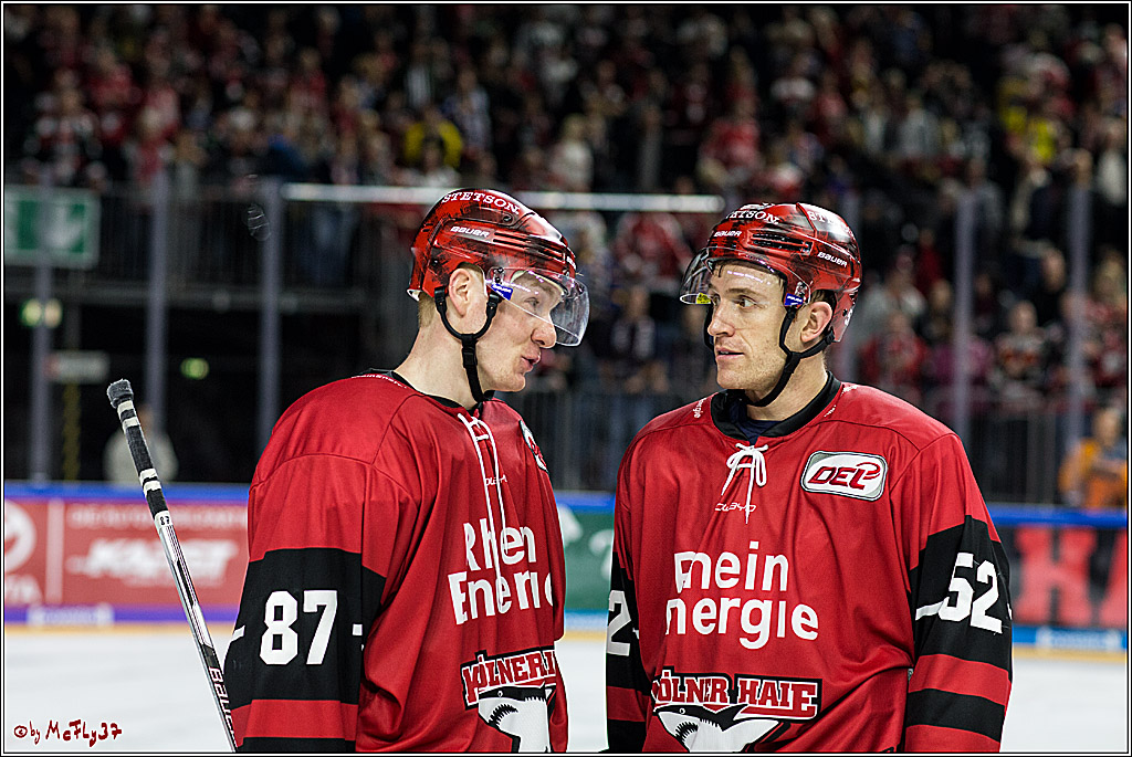 DEL, Koelner Haie - Duesseldorfer eG, 13.10.2017