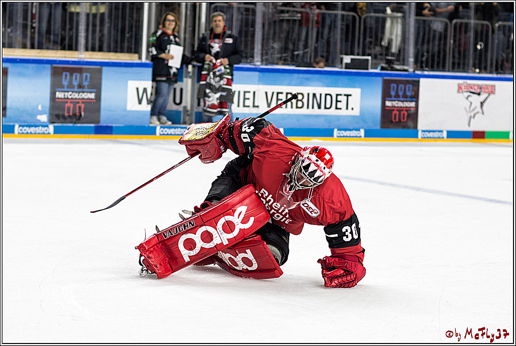 DEL, Koelner Haie - Duesseldorfer eG, 13.10.2017