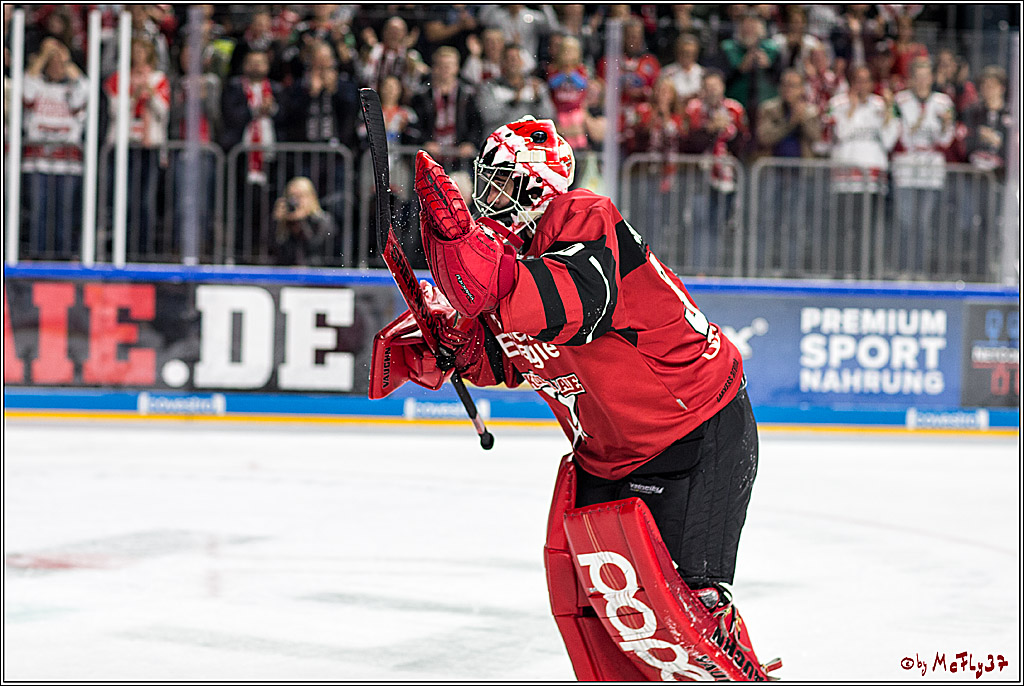 DEL, Koelner Haie - Duesseldorfer eG, 13.10.2017