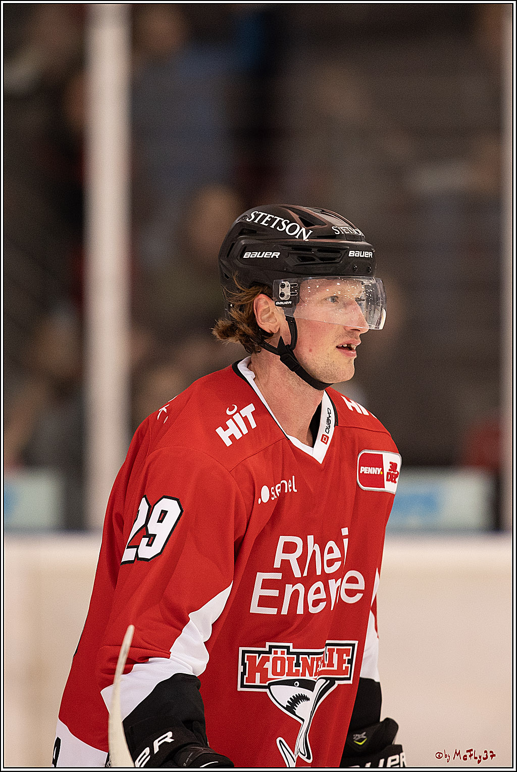 PENNY DEL 1. oeffentliches Training - Neuzugaenge; Koeln, 06.08.2023