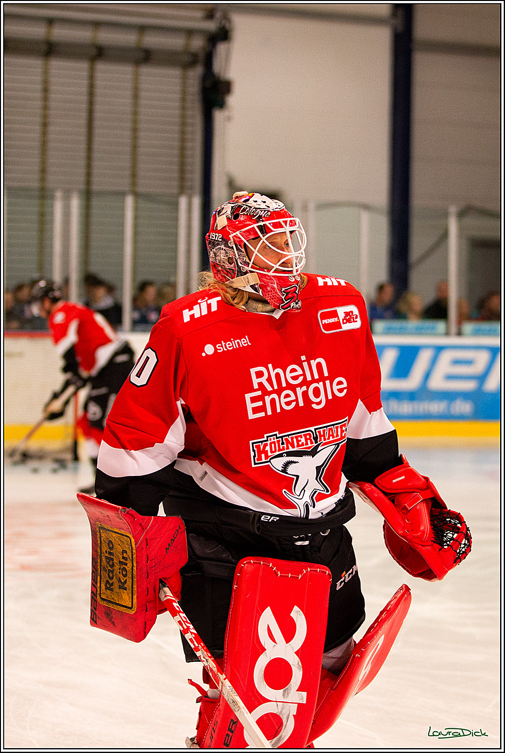 PENNY DEL; Erstes oeffentliches Training- Neuzugaenge; Koeln, 06.08.2023