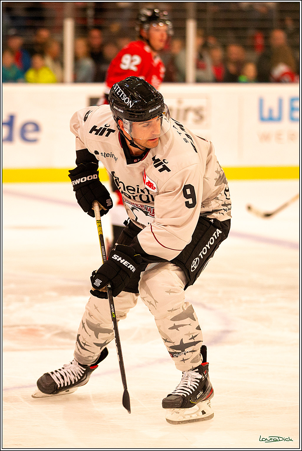 PENNY DEL; Erstes oeffentliches Training- Neuzugaenge; Koeln, 06.08.2023