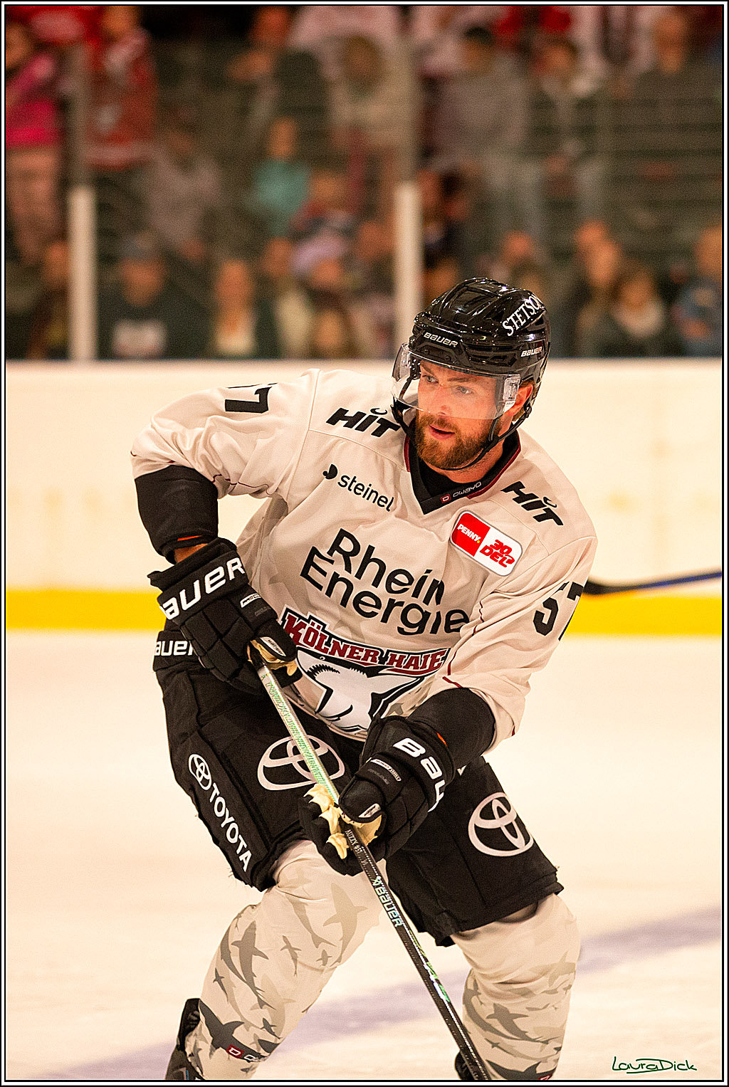 PENNY DEL; Erstes oeffentliches Training- Neuzugaenge; Koeln, 06.08.2023