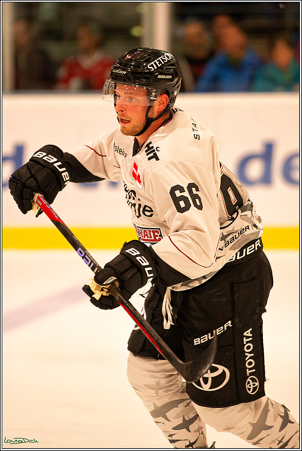 PENNY DEL; Erstes oeffentliches Training- Neuzugaenge; Koeln, 06.08.2023