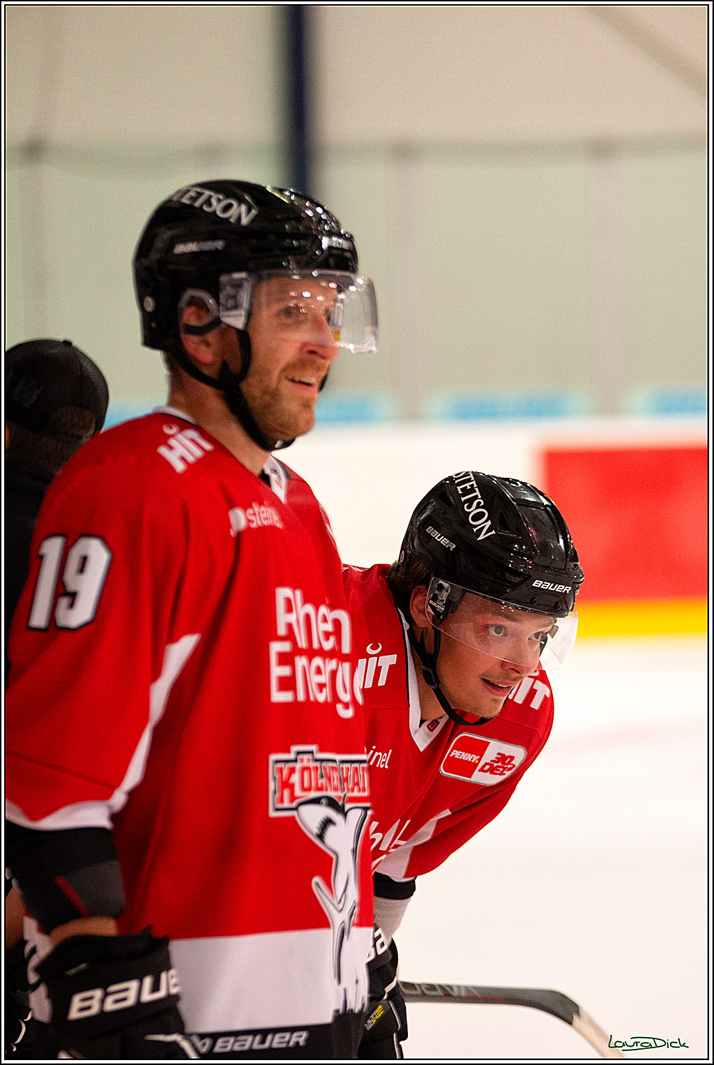 PENNY DEL; Erstes oeffentliches Training- Neuzugaenge; Koeln, 06.08.2023