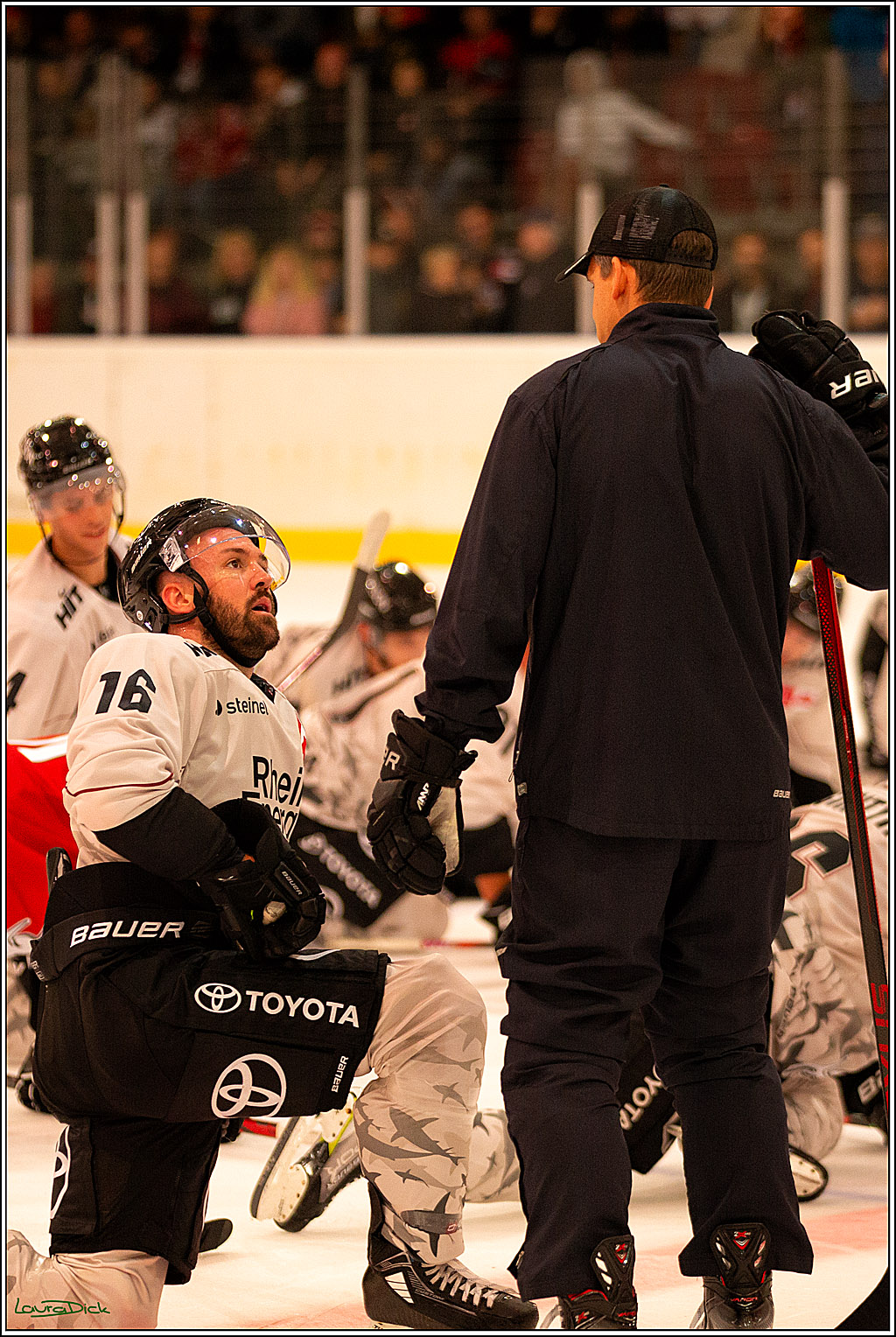 PENNY DEL; Erstes oeffentliches Training- Neuzugaenge; Koeln, 06.08.2023