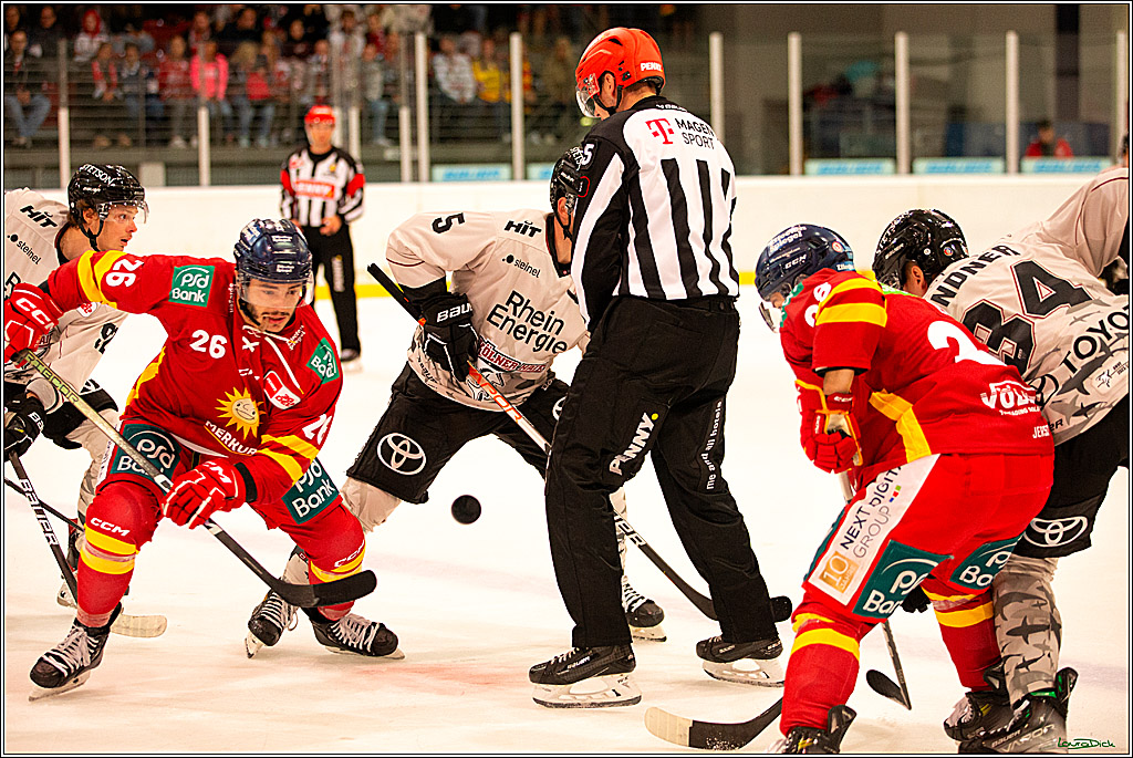 PENNY DEL; Testspiel Koelner Haie- Duesseldorfer EG; Koeln, 03.09.2023