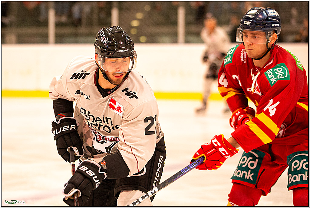 PENNY DEL; Testspiel Koelner Haie- Duesseldorfer EG; Koeln, 03.09.2023
