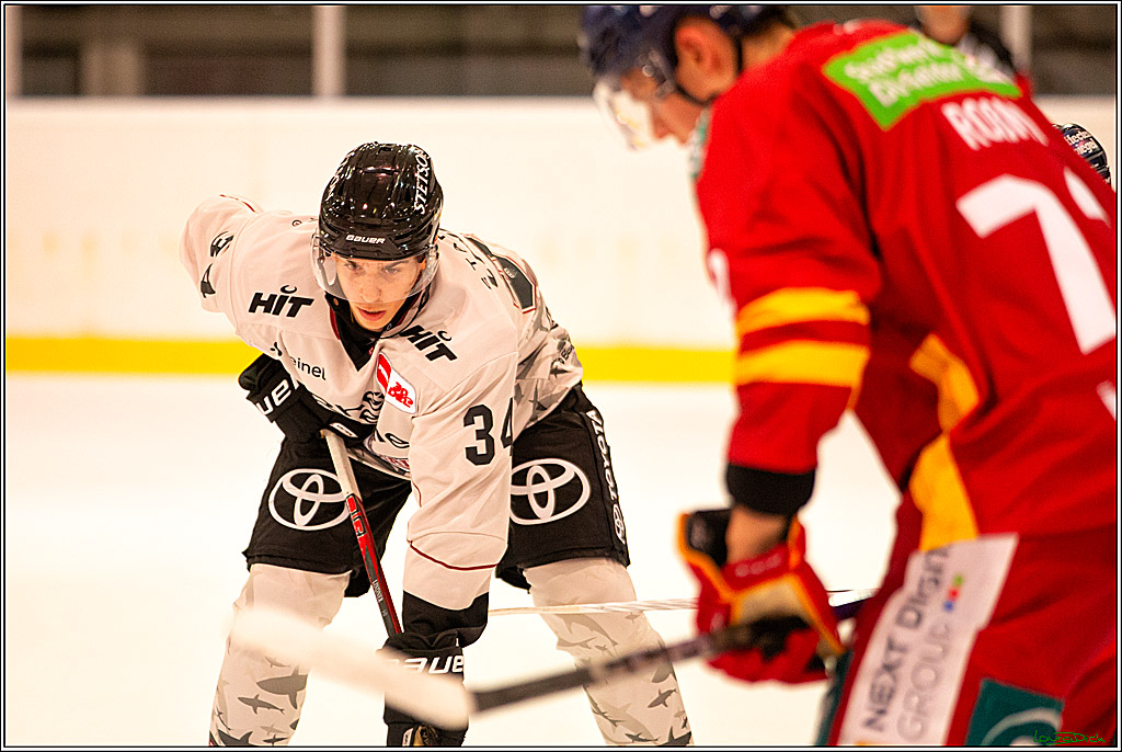 PENNY DEL; Testspiel Koelner Haie- Duesseldorfer EG; Koeln, 03.09.2023
