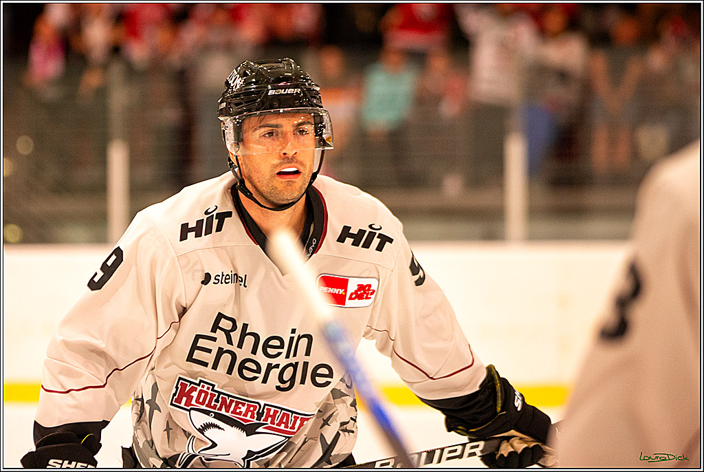 PENNY DEL; Testspiel Koelner Haie- Duesseldorfer EG; Koeln, 03.09.2023