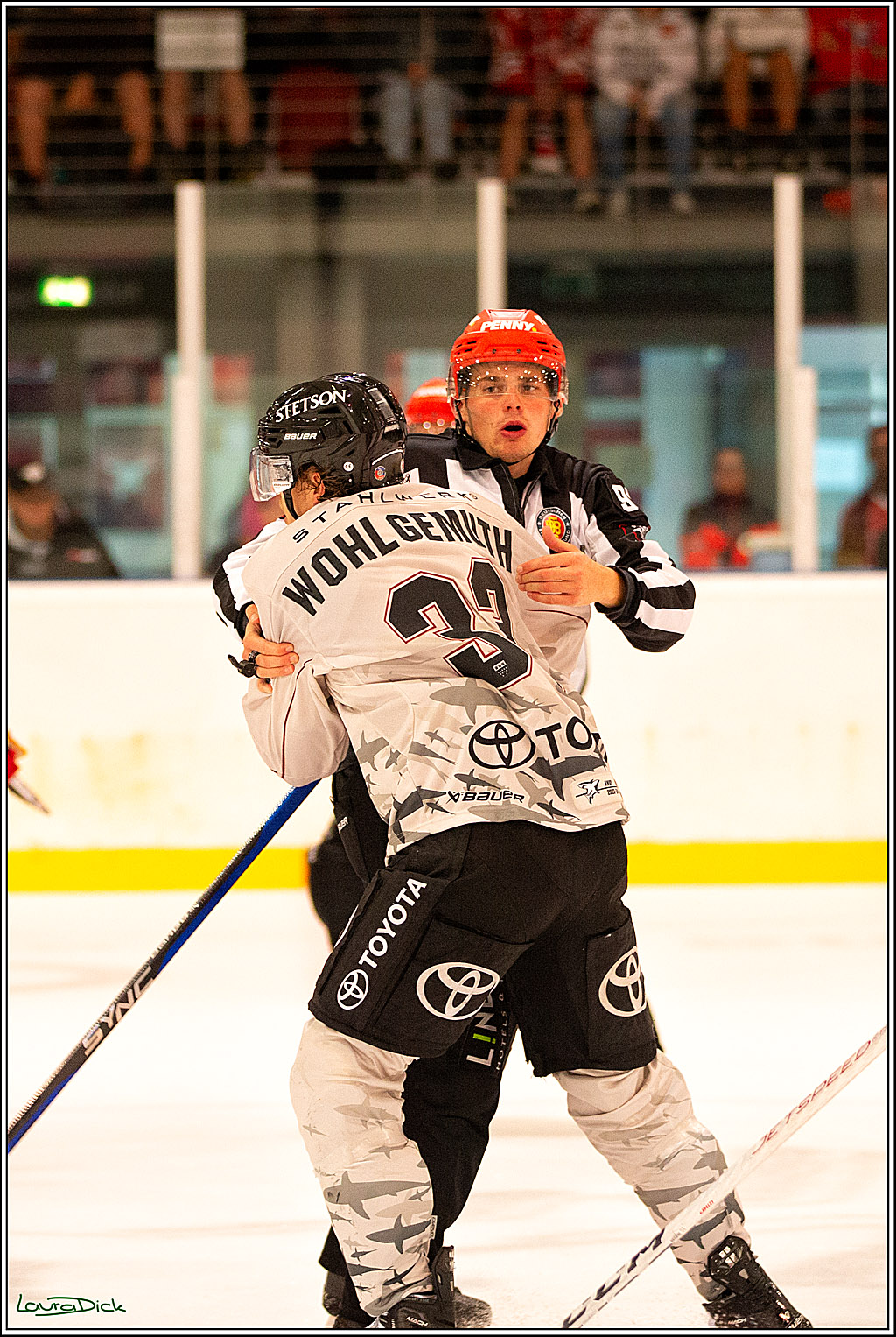PENNY DEL; Testspiel Koelner Haie- Duesseldorfer EG; Koeln, 03.09.2023