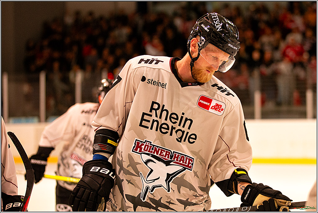 PENNY DEL; Testspiel Koelner Haie- Duesseldorfer EG; Koeln, 03.09.2023