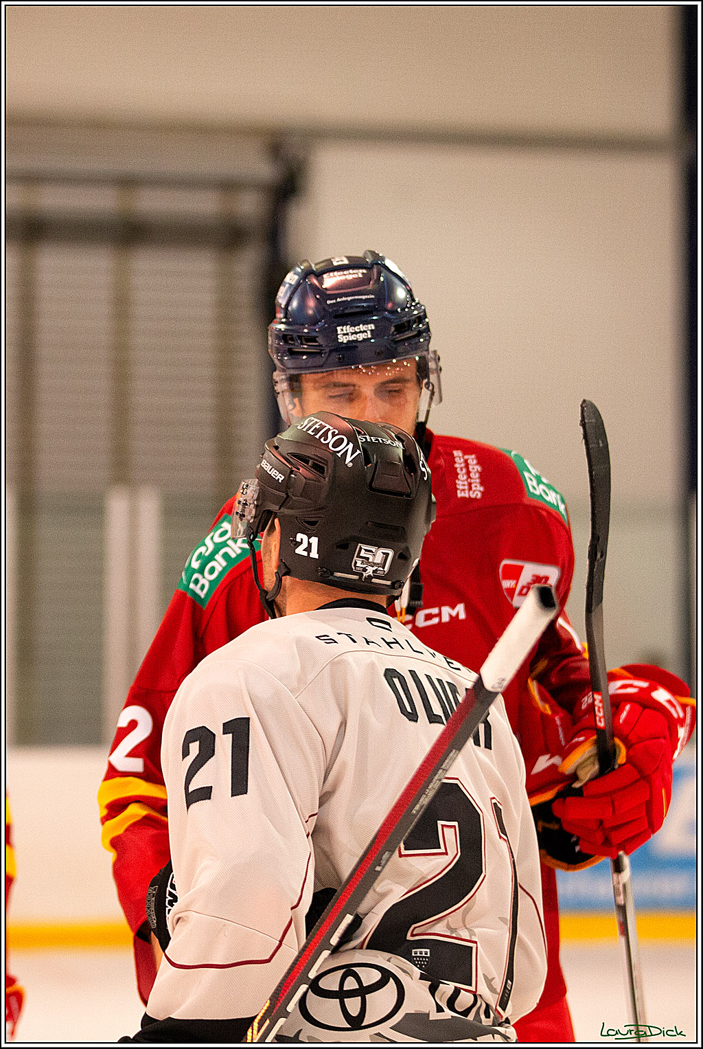 PENNY DEL; Testspiel Koelner Haie- Duesseldorfer EG; Koeln, 03.09.2023