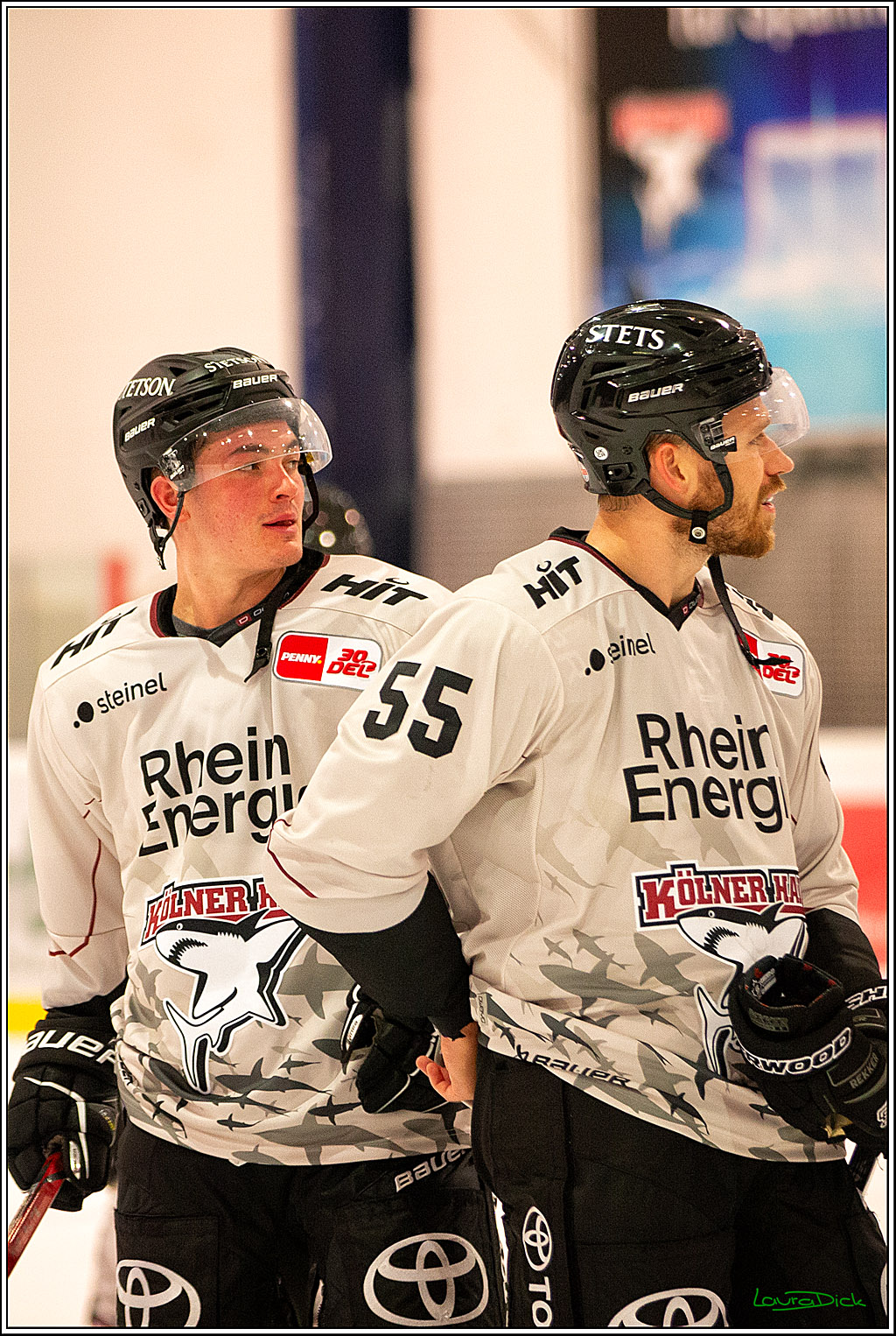 PENNY DEL; Testspiel Koelner Haie- Duesseldorfer EG; Koeln, 03.09.2023