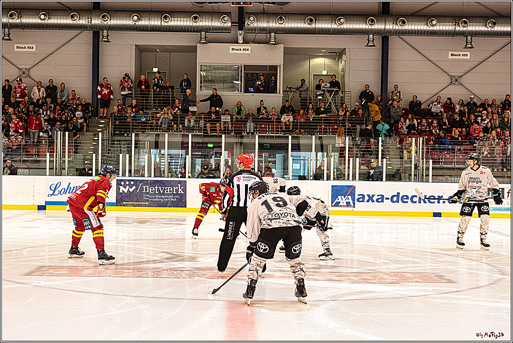 PENNY DEL 1. Testspiel Koelner Haie - Duesseldorfer EG ; Koeln, 03.09.2023