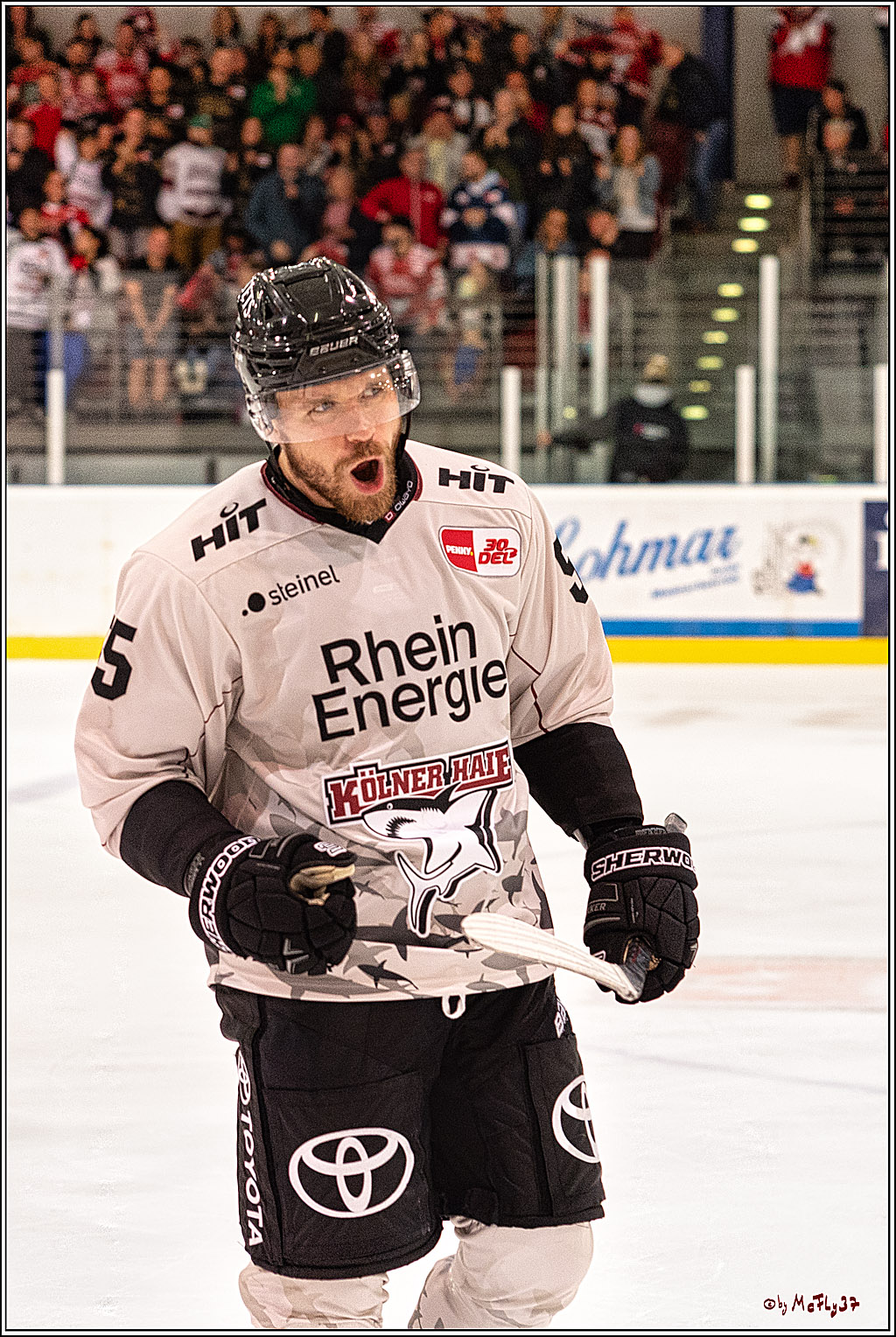 PENNY DEL 1. Testspiel Koelner Haie - Duesseldorfer EG ; Koeln, 03.09.2023