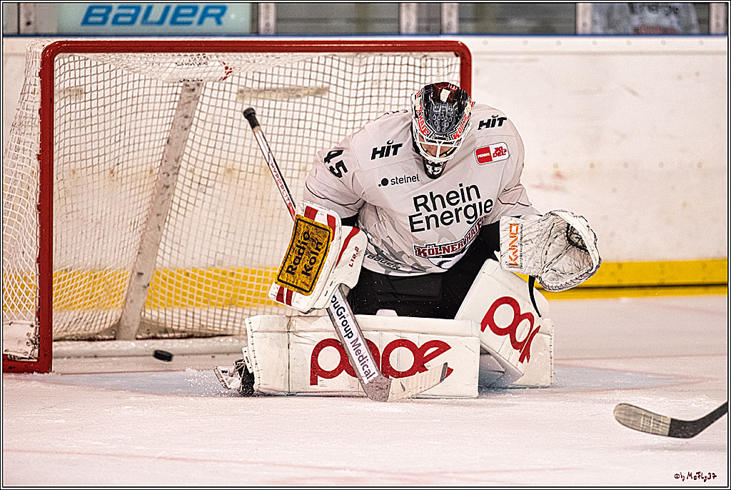 PENNY DEL 1. Testspiel Koelner Haie - Duesseldorfer EG ; Koeln, 03.09.2023