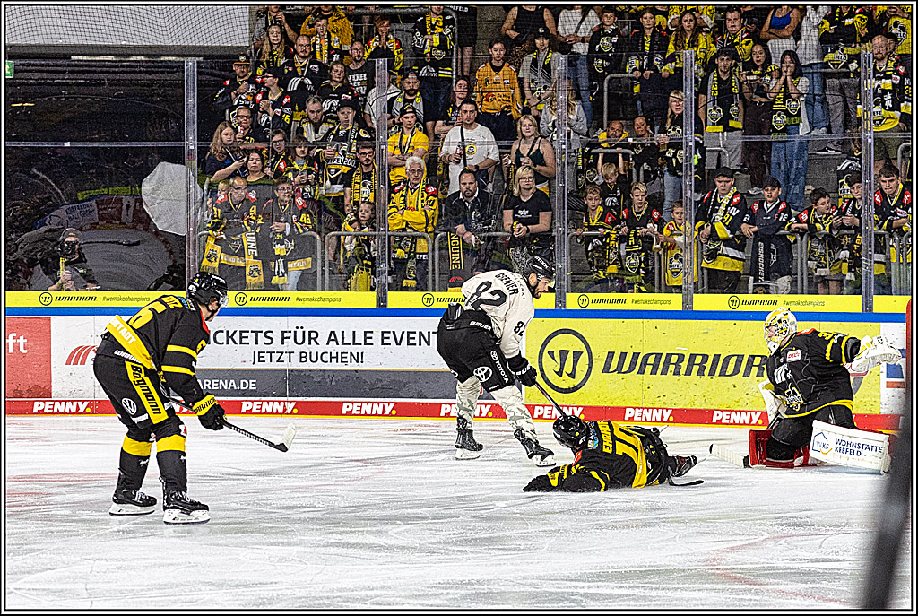 PENNY DEL 1. Testspiel Krefeld Pinguine - Koelner Haie; Krefeld, 10.09.2023