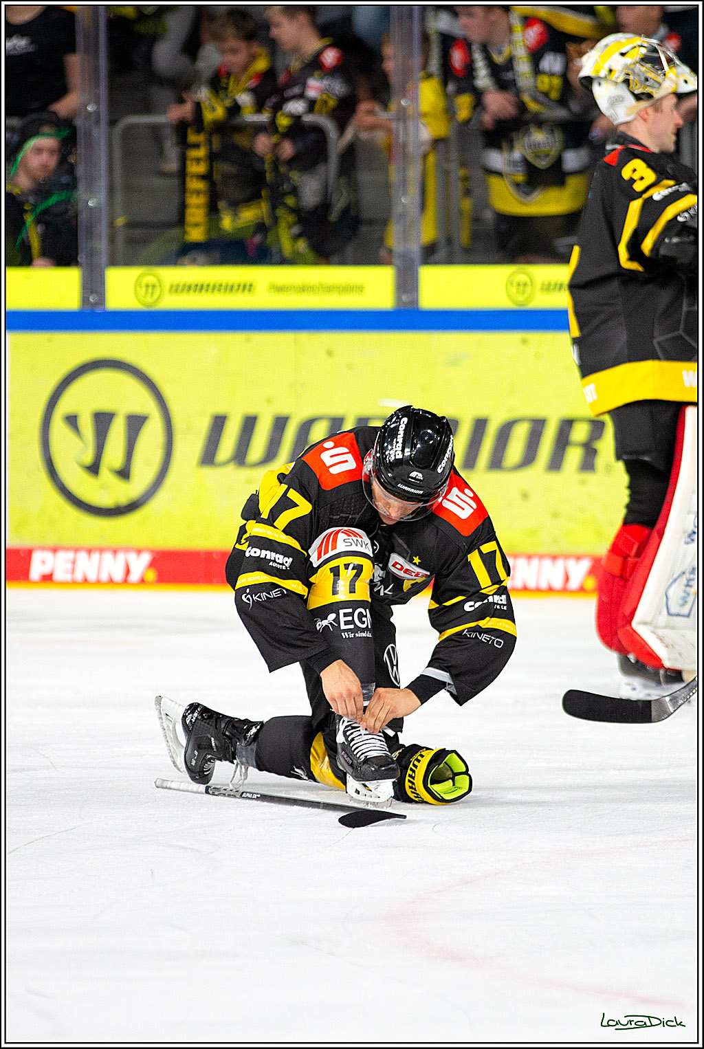 PENNY DEL; Testspiel Krefelder Pinguine- Koelner Haie; Krefeld, 10.09.2023