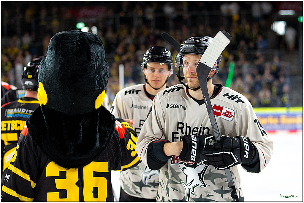 PENNY DEL; Testspiel Krefelder Pinguine- Koelner Haie; Krefeld, 10.09.2023