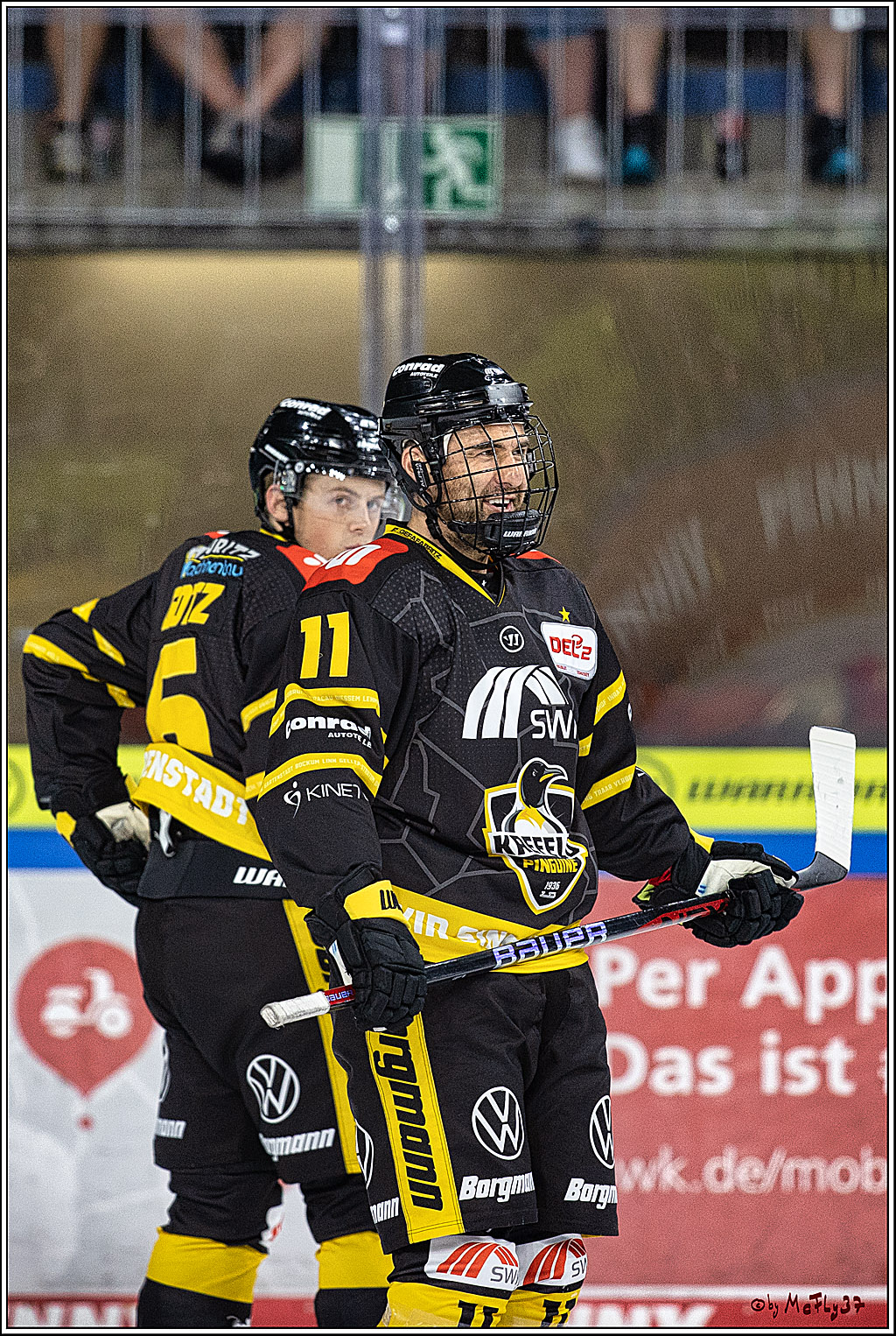 PENNY DEL 1. Testspiel Krefeld Pinguine - Koelner Haie; Krefeld, 10.09.2023