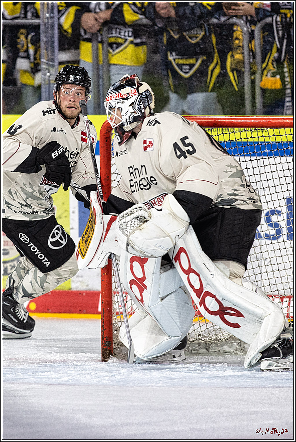 PENNY DEL 1. Testspiel Krefeld Pinguine - Koelner Haie; Krefeld, 10.09.2023
