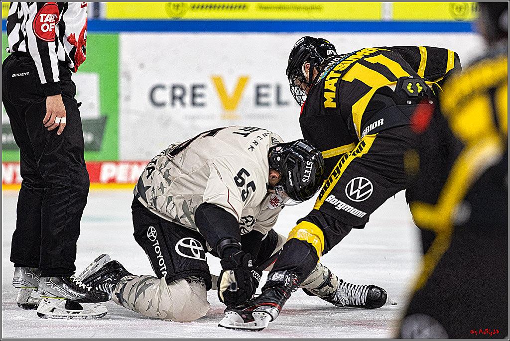 PENNY DEL 1. Testspiel Krefeld Pinguine - Koelner Haie; Krefeld, 10.09.2023