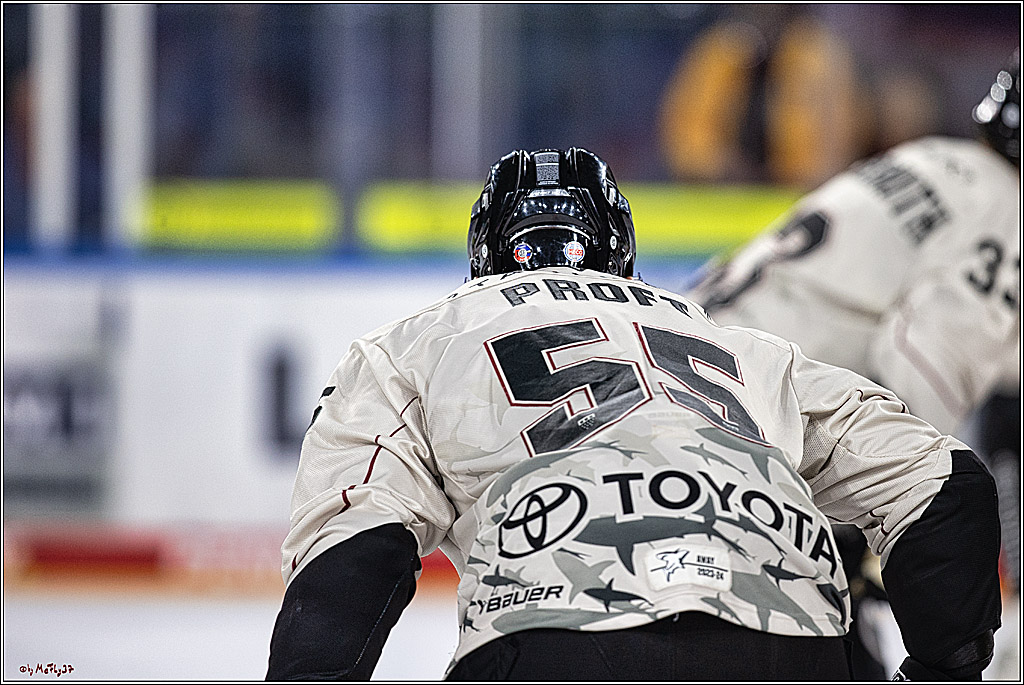 PENNY DEL 1. Testspiel Krefeld Pinguine - Koelner Haie; Krefeld, 10.09.2023