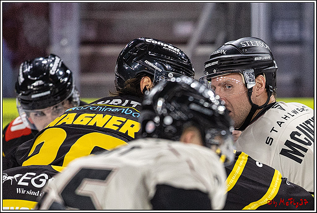 PENNY DEL 1. Testspiel Krefeld Pinguine - Koelner Haie; Krefeld, 10.09.2023