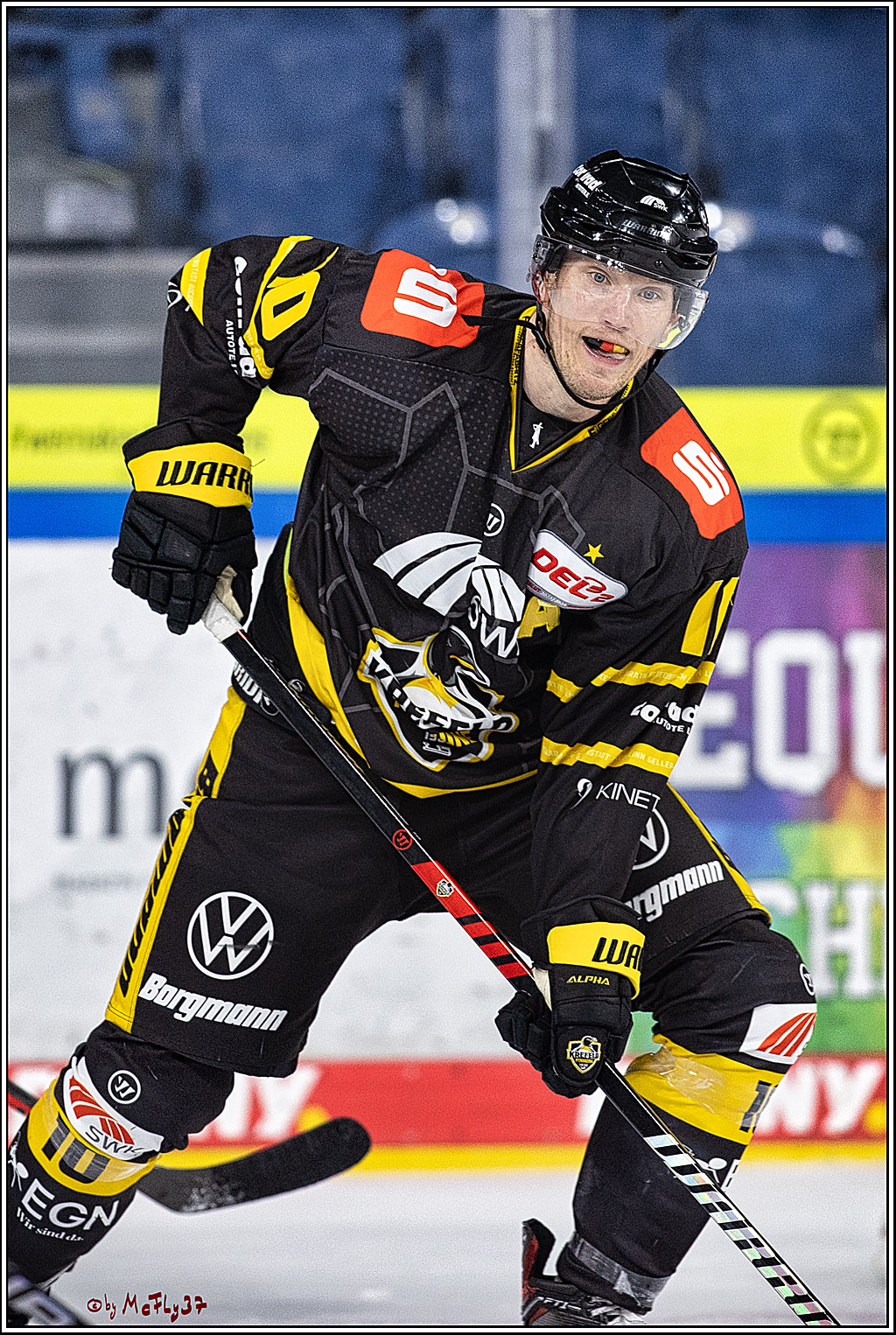 PENNY DEL 1. Testspiel Krefeld Pinguine - Koelner Haie; Krefeld, 10.09.2023