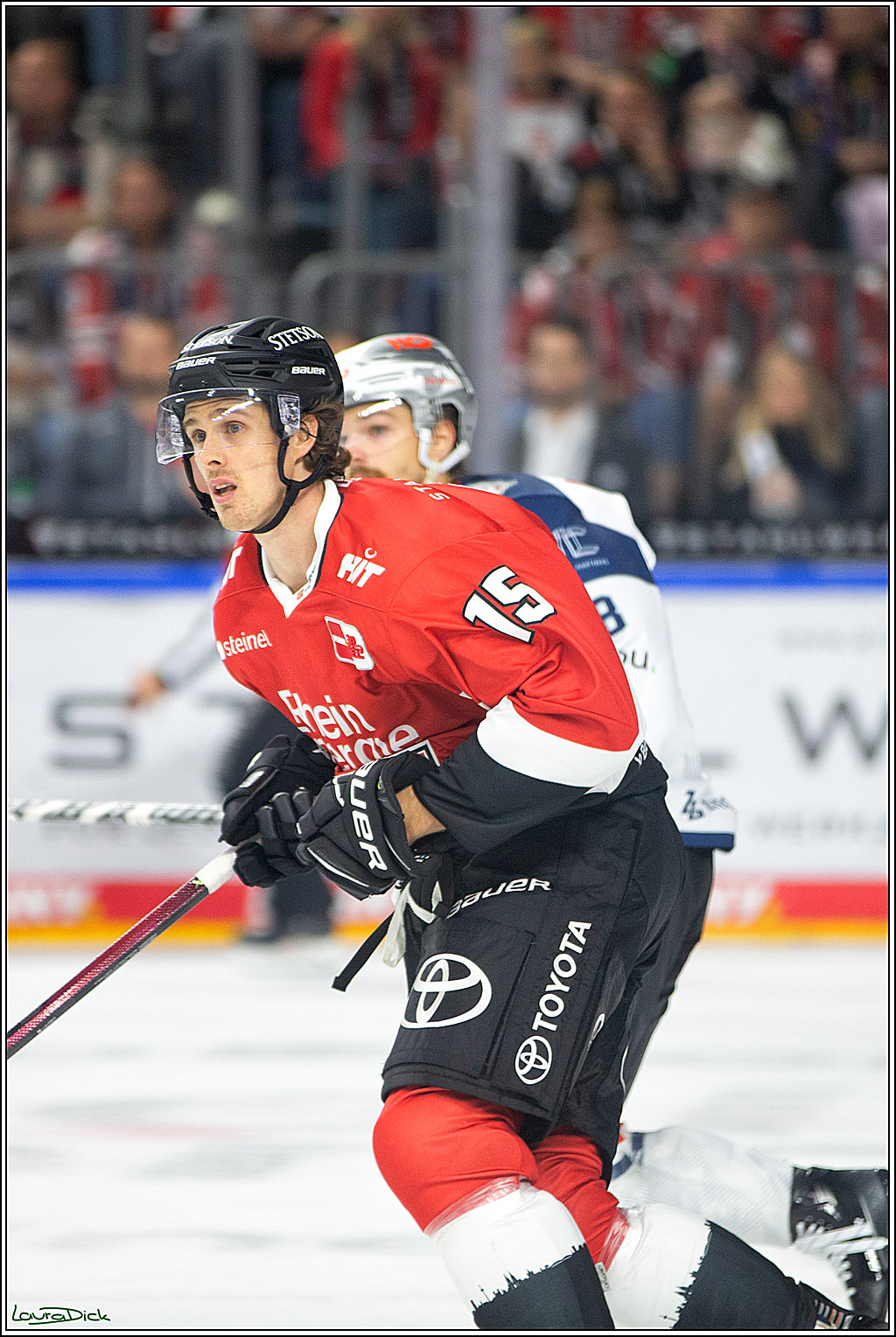 PENNY DEL; Koelner Haie- Nuernberg Ice Tigers; Koeln, 15.09.2023