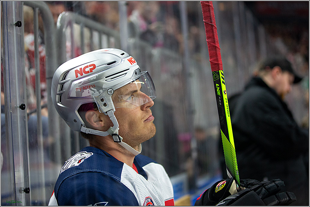 PENNY DEL; Koelner Haie- Nuernberg Ice Tigers; Koeln, 15.09.2023