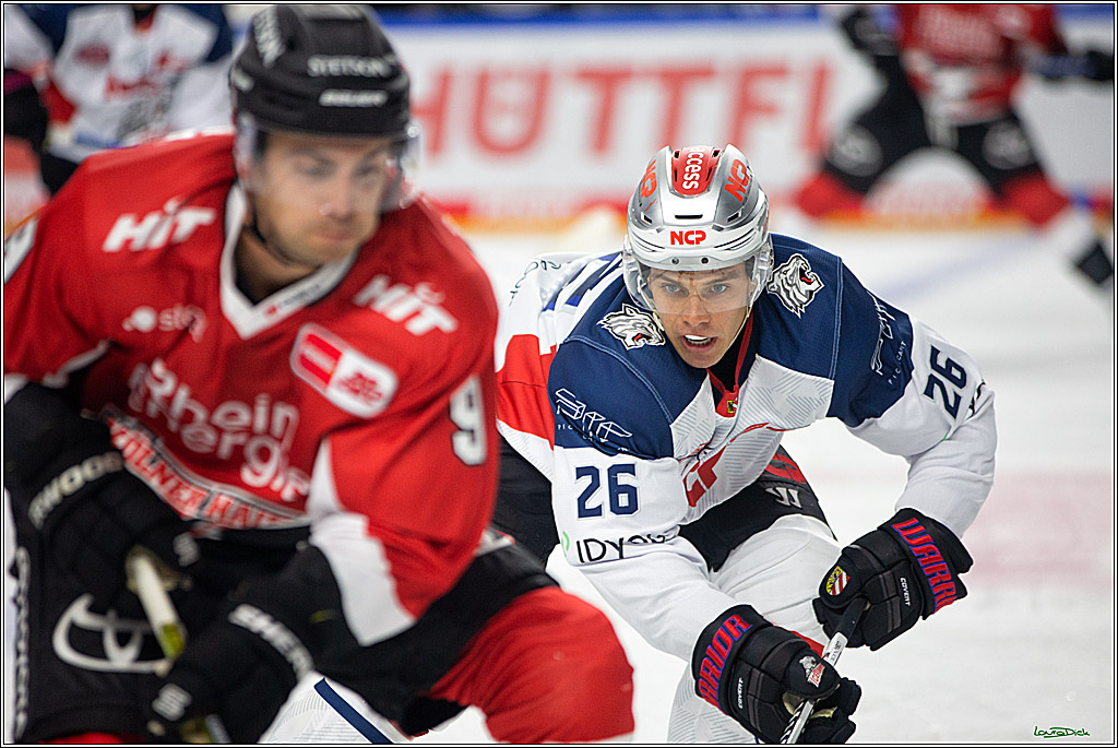 PENNY DEL; Koelner Haie- Nuernberg Ice Tigers; Koeln, 15.09.2023
