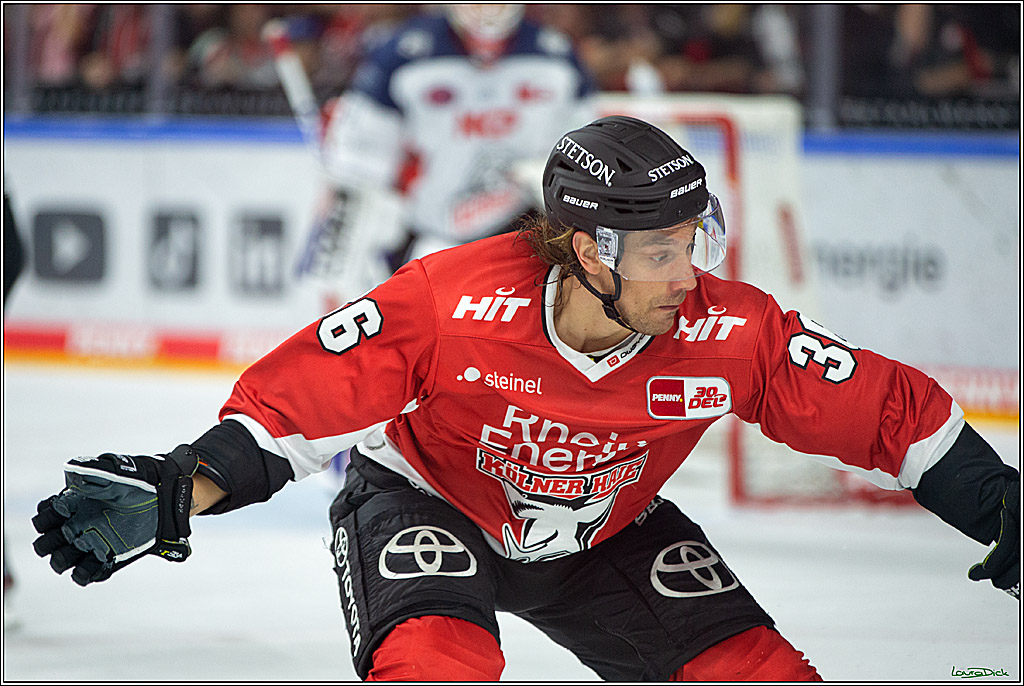 PENNY DEL; Koelner Haie- Nuernberg Ice Tigers; Koeln, 15.09.2023