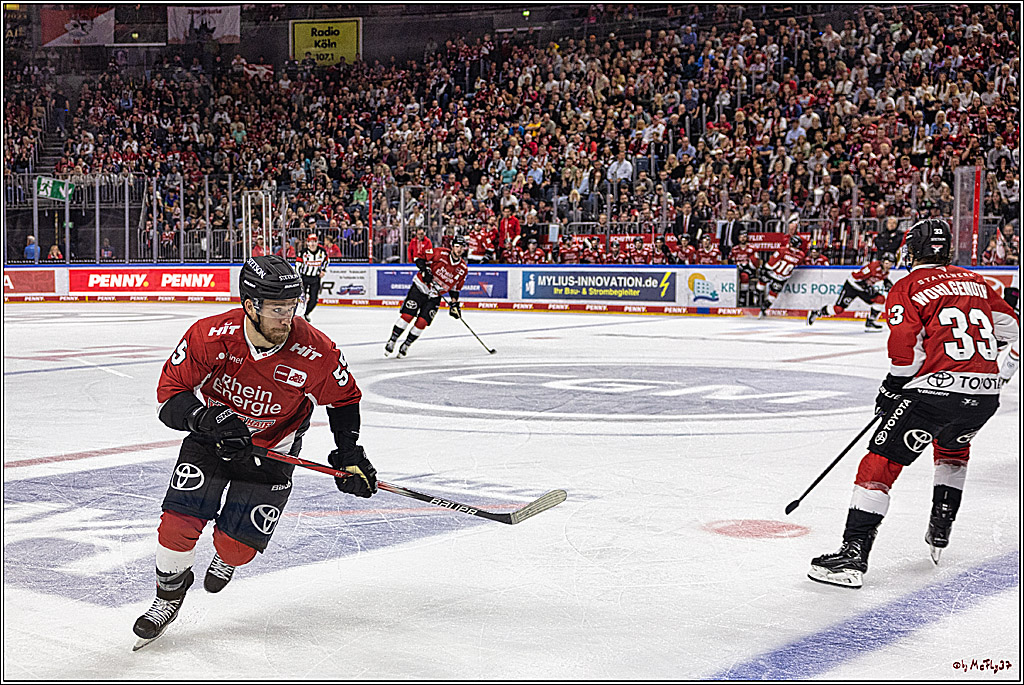 PENNY DEL 1. Koelner Haie - Nuernberg Ice Tigers; Koeln, 15.09.2023