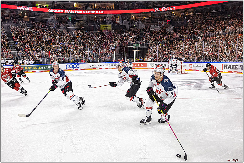 PENNY DEL 1. Koelner Haie - Nuernberg Ice Tigers; Koeln, 15.09.2023