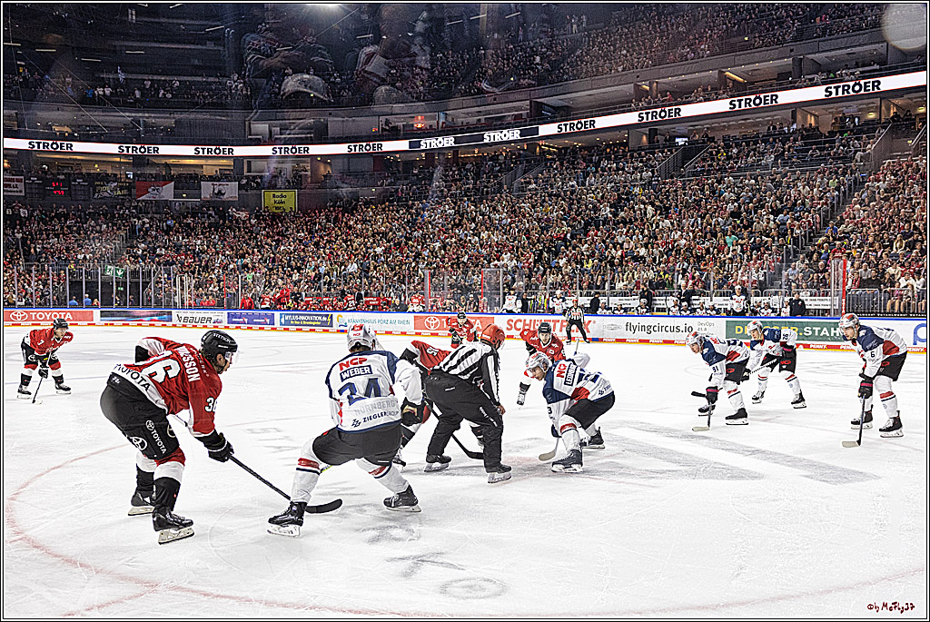 PENNY DEL 1. Koelner Haie - Nuernberg Ice Tigers; Koeln, 15.09.2023