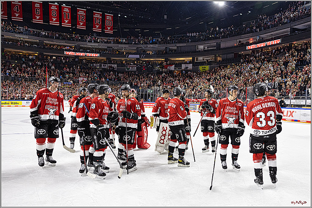 PENNY DEL 1. Koelner Haie - Nuernberg Ice Tigers; Koeln, 15.09.2023