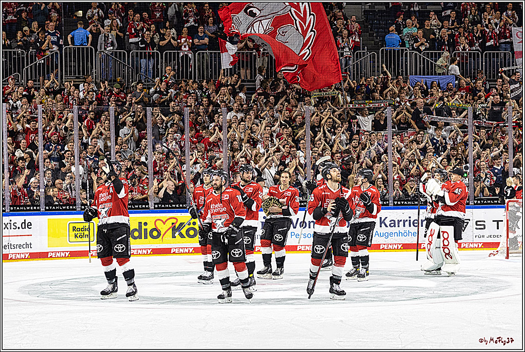PENNY DEL 1. Koelner Haie - Nuernberg Ice Tigers; Koeln, 15.09.2023