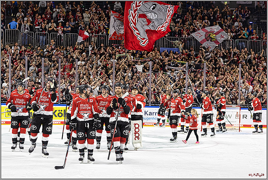 PENNY DEL 1. Koelner Haie - Nuernberg Ice Tigers; Koeln, 15.09.2023