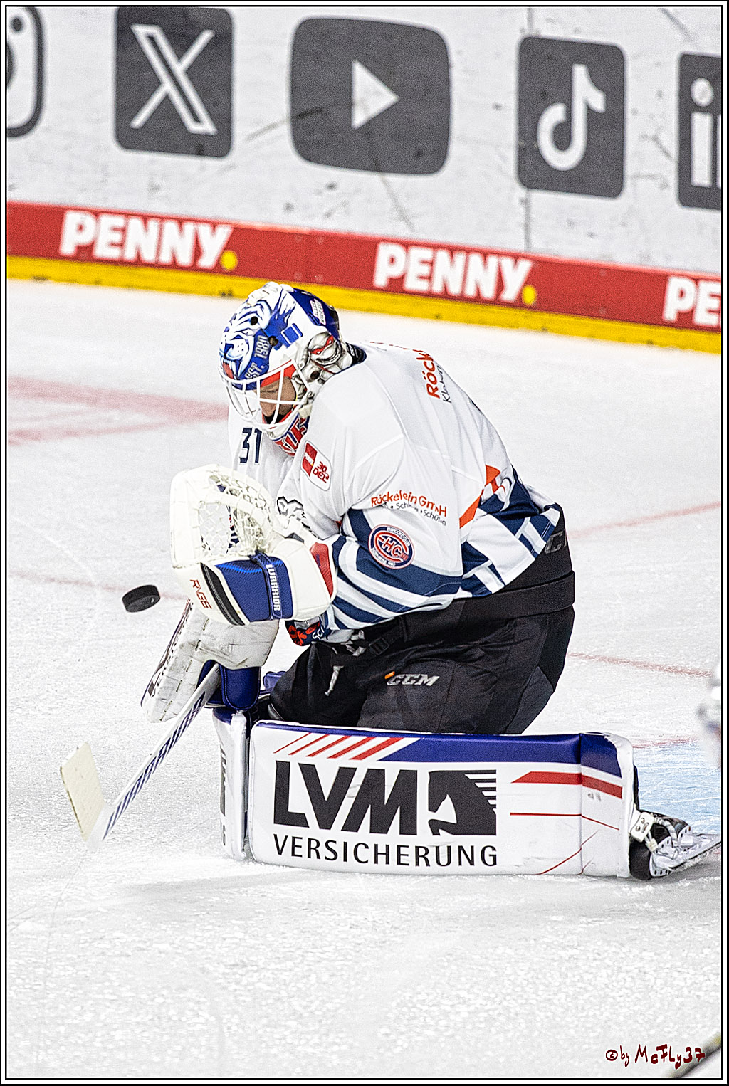 PENNY DEL 1. Koelner Haie - Nuernberg Ice Tigers; Koeln, 15.09.2023