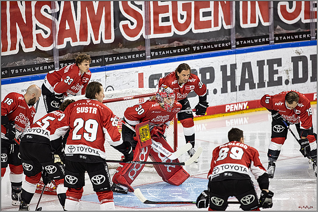 PENNY DEL 1. Koelner Haie - Nuernberg Ice Tigers; Koeln, 15.09.2023