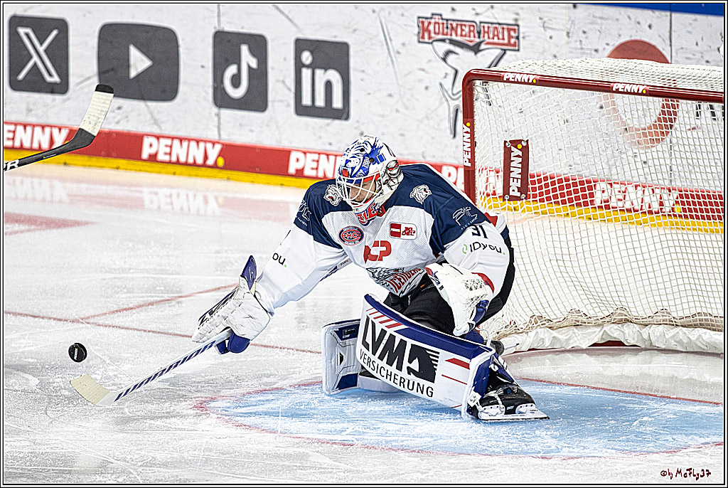 PENNY DEL 1. Koelner Haie - Nuernberg Ice Tigers; Koeln, 15.09.2023